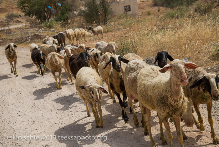 Palestine-Jordan River Valley-7254