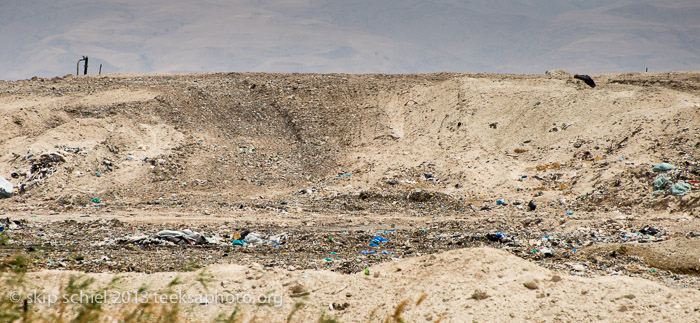 Palestine-Jordan River Valley-7411