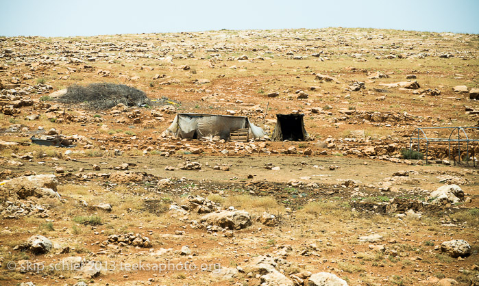 Palestine-Jordan River Valley-7437