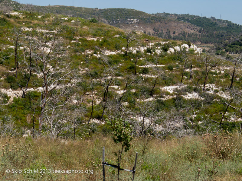 Israel-Galilee-border-4920