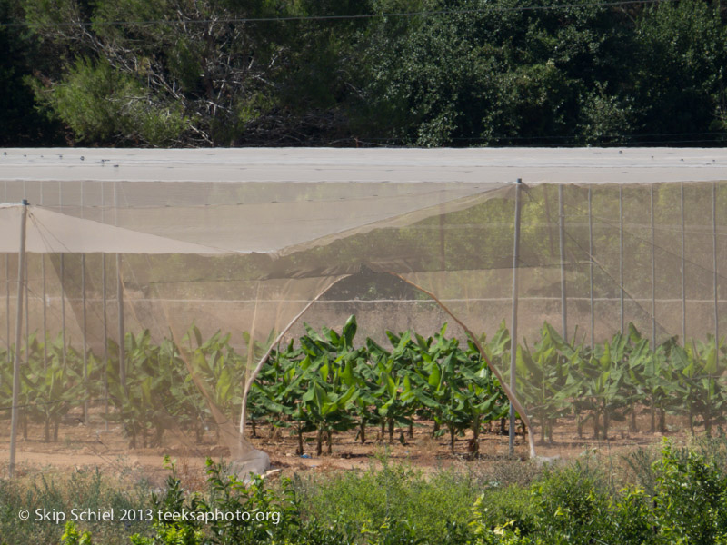 Israel-Galilee-border-5101