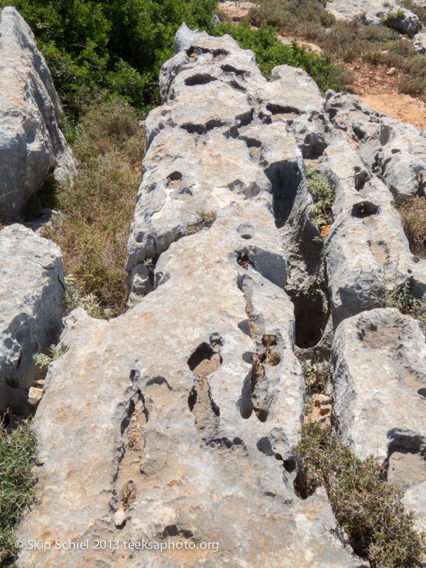 Israel-Galilee-border-5124