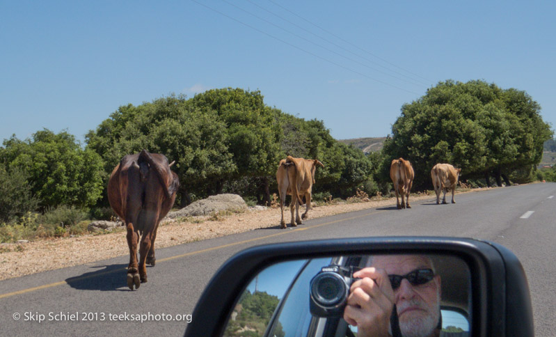 Israel-Galilee-border-5134