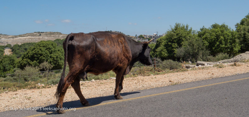 Israel-Galilee-border-5135