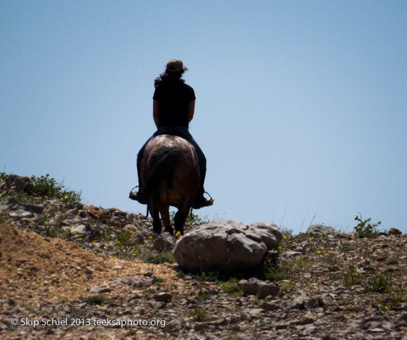 Palestine-Gaza-Portraits-5768