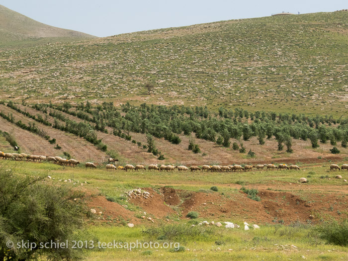 Israel Palestine-Jordan Valley-Water Justice Walk-1841