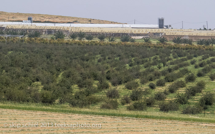 Israel Palestine-Jordan Valley-Water Justice Walk-1847