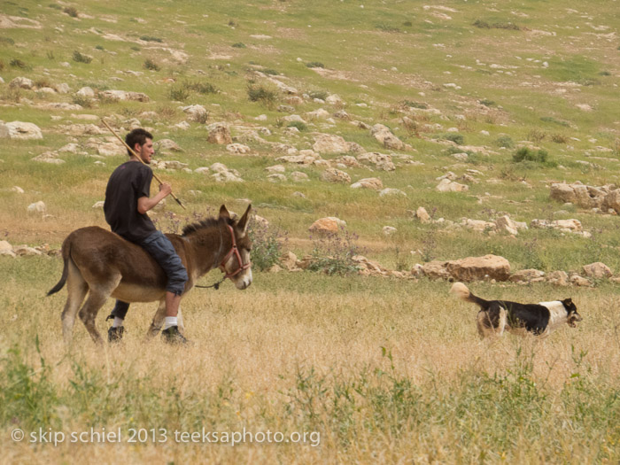 Israel Palestine-Jordan Valley-Water Justice Walk-1925