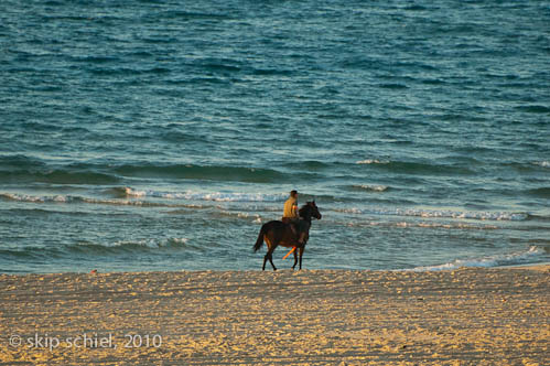 Gaza-5825