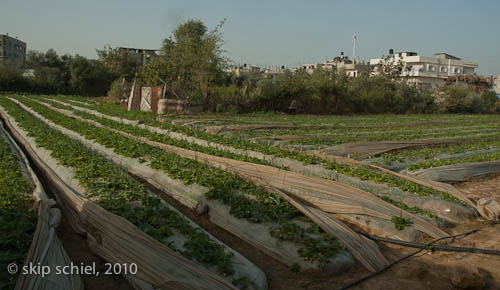 Gaza-water-MECA-5290