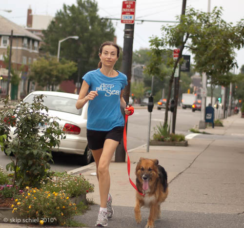 Cambridge-Mass Ave-9914