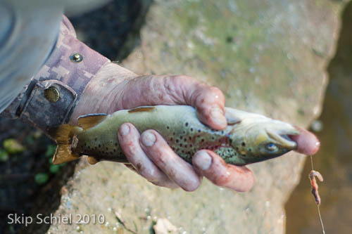 Plymouth-fishing-9073