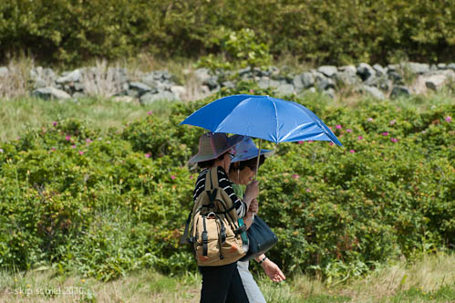 Boston Harbor Spectacle Island-0239