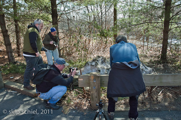 Charles River-spring-Watertown-7424