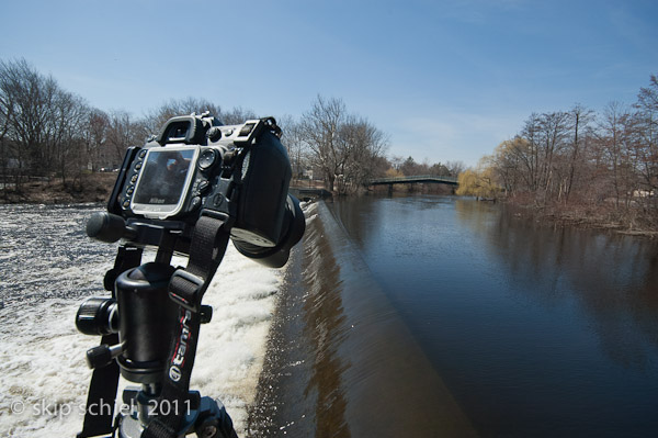 Charles River-spring-Watertown-7437