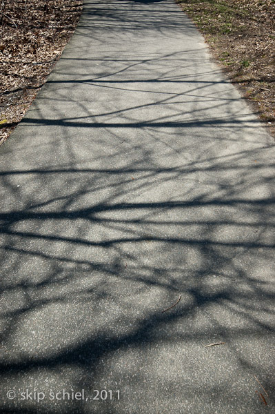 Charles River-spring-Watertown-7448