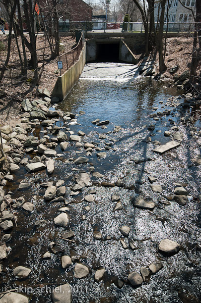 Charles River-spring-Watertown-7545