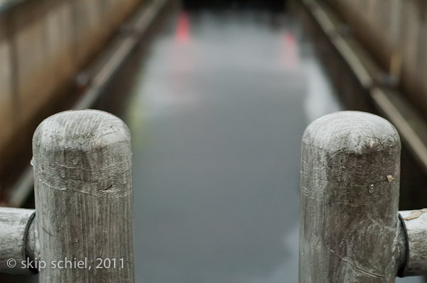 Charles River-7961