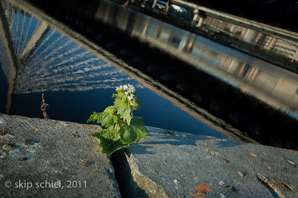 Charles River-8163