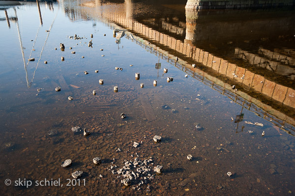 Charles River-8174