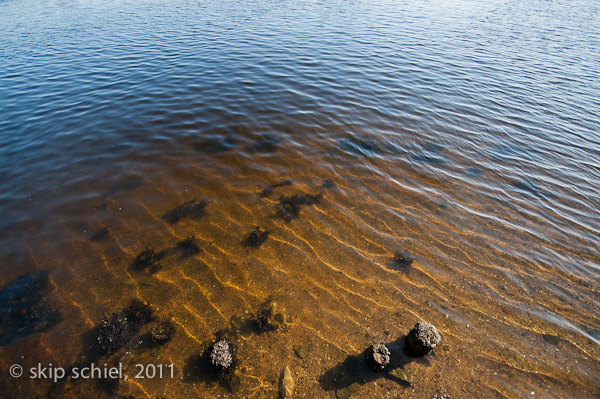 Charles River-8201