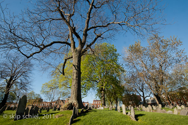 Charles River-8207