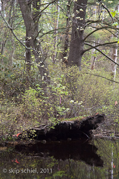 Charles River-8655