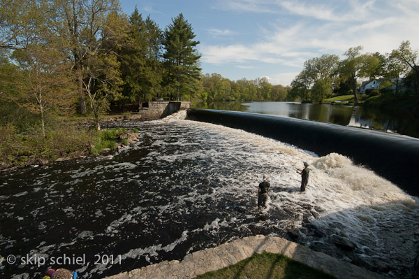 Charles River-8731