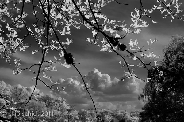 Charles River-8773