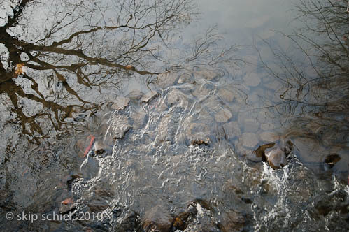 Boston-Emerald Necklace-Winter-6252