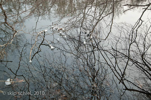 Boston-Emerald Necklace-Winter-6254