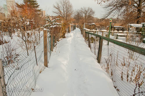 Boston-Emerald Necklace-Winter-6313