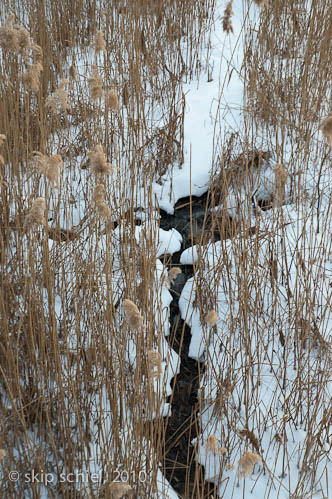 Boston-Emerald Necklace-Winter-6323