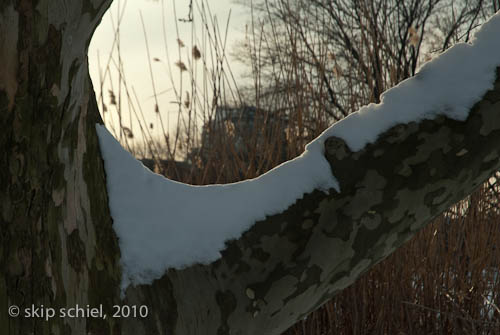 Boston-Emerald Necklace-Winter-6355