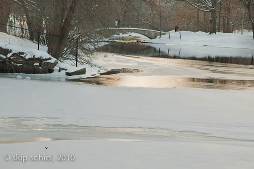 Boston-Emerald Necklace-Winter-6357