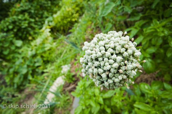 Audubon-Boston Nature Center-9954