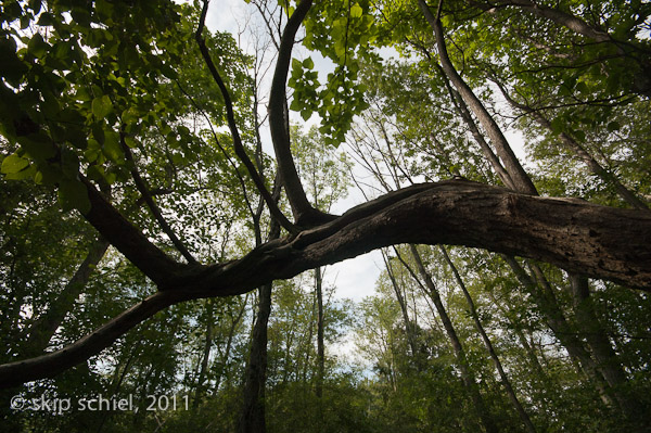 Audubon santuaries-Ipswich-9535