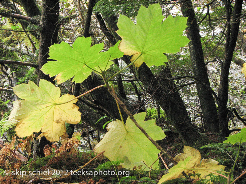 Juneau Alaska-0387