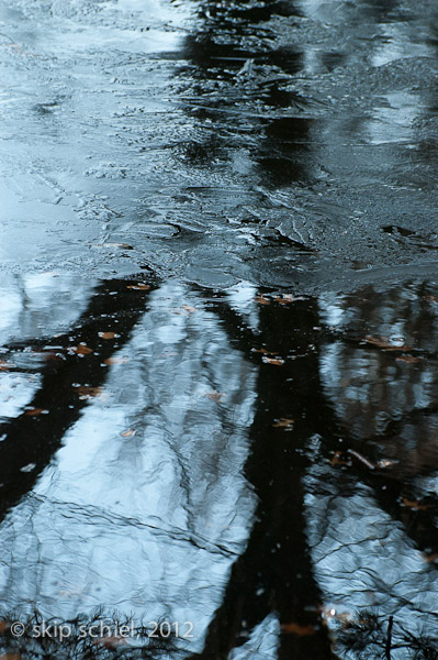 Mt Auburn Cemetery-2005