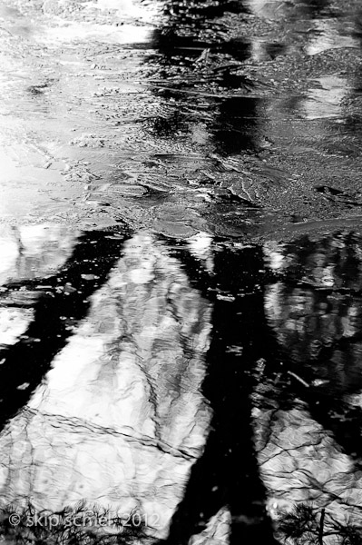 Mt Auburn Cemetery-2005