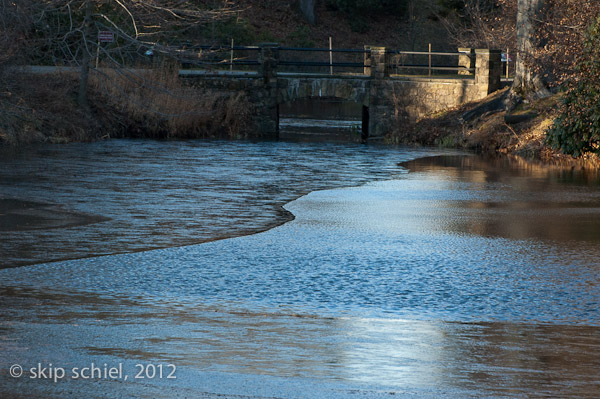 Mt Auburn Cemetery-2006
