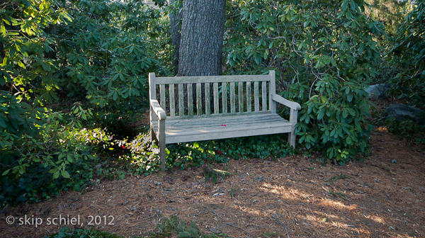 Mt Auburn Cemetery-2031