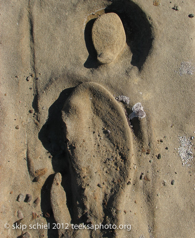 Point Lobos California-