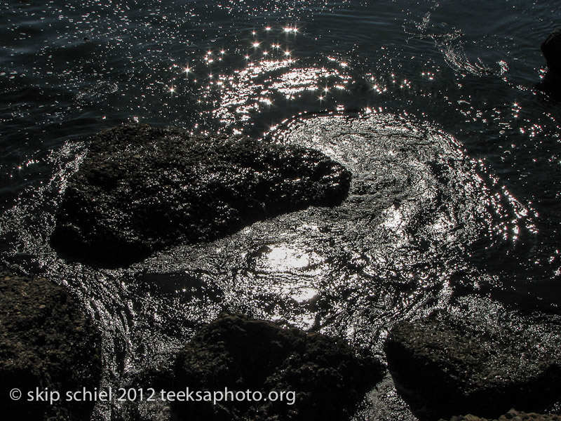 Point Lobos California-0573