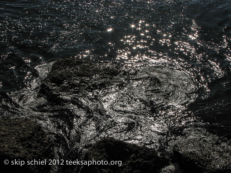 Point Lobos California-0575