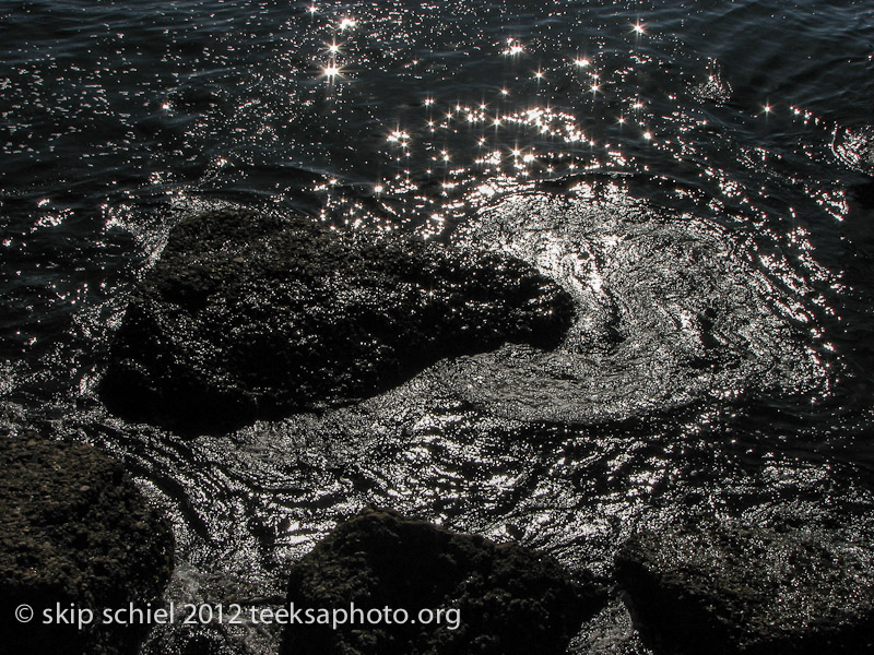 Point Lobos California-0579