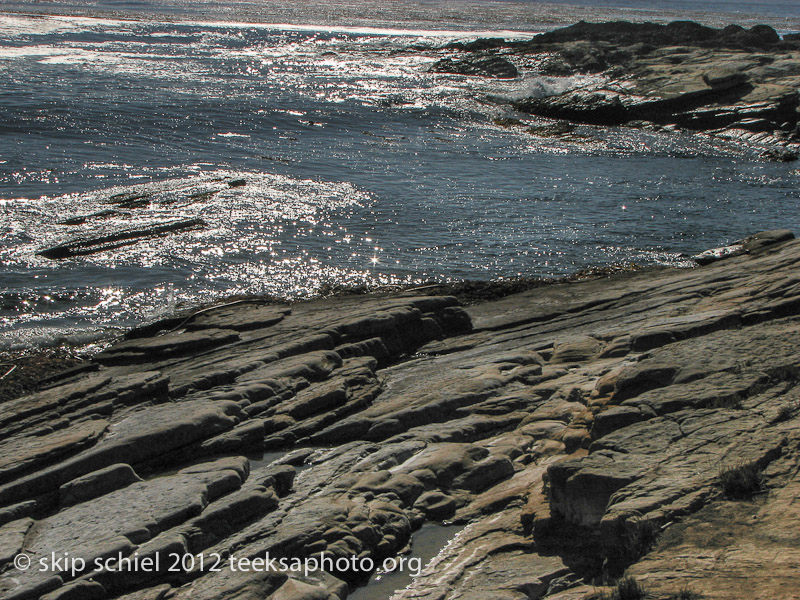 Point Lobos California-0597