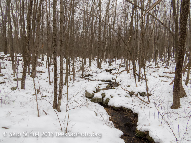 Agape-Quabbin-0559