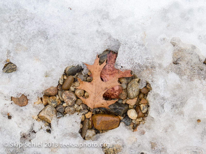 Agape-Quabbin-0601