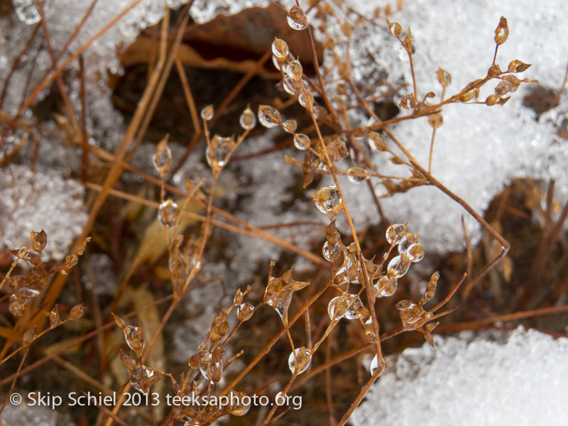 Agape-Quabbin-0627